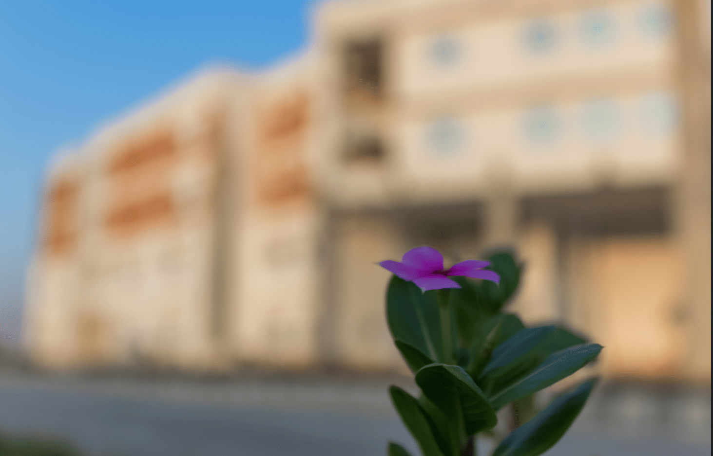 AGET Business School Bahadurgarh College Campus photo 17